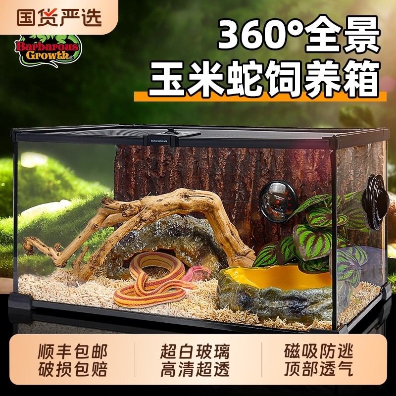 超白玻璃成体宠物蛇饲养箱爬宠饲养缸养蛇专用造景全套防逃生态缸