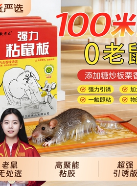 老鼠粘强力粘鼠板胶抓大老鼠贴家用灭捕鼠神器非药夹扑捉器黏鼠板