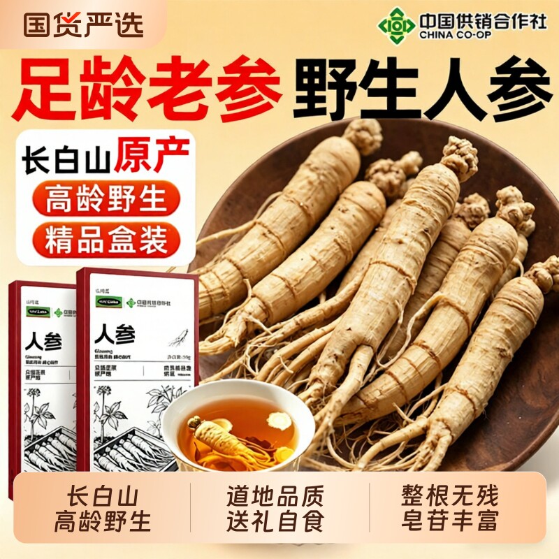 人参长白山野山参正品干人参泡酒专用新鲜中草药材生晒参白参整根