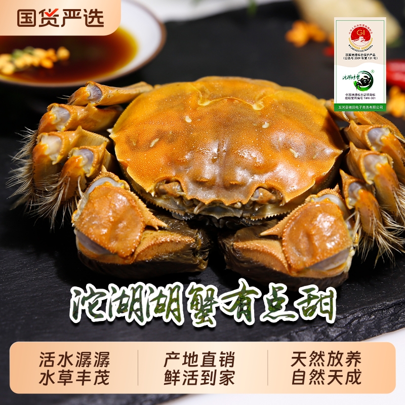 沱湖螃蟹3.5两公蟹鲜活礼盒