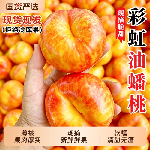 正宗彩虹油蟠桃5斤当季新鲜水果