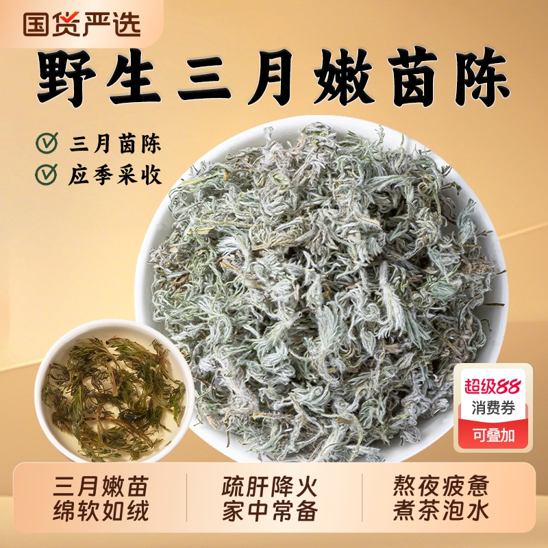 野生棉茵陈中药材新货正品白蒿新鲜整株棉茵陈三月嫩茵陈蒿草药浴