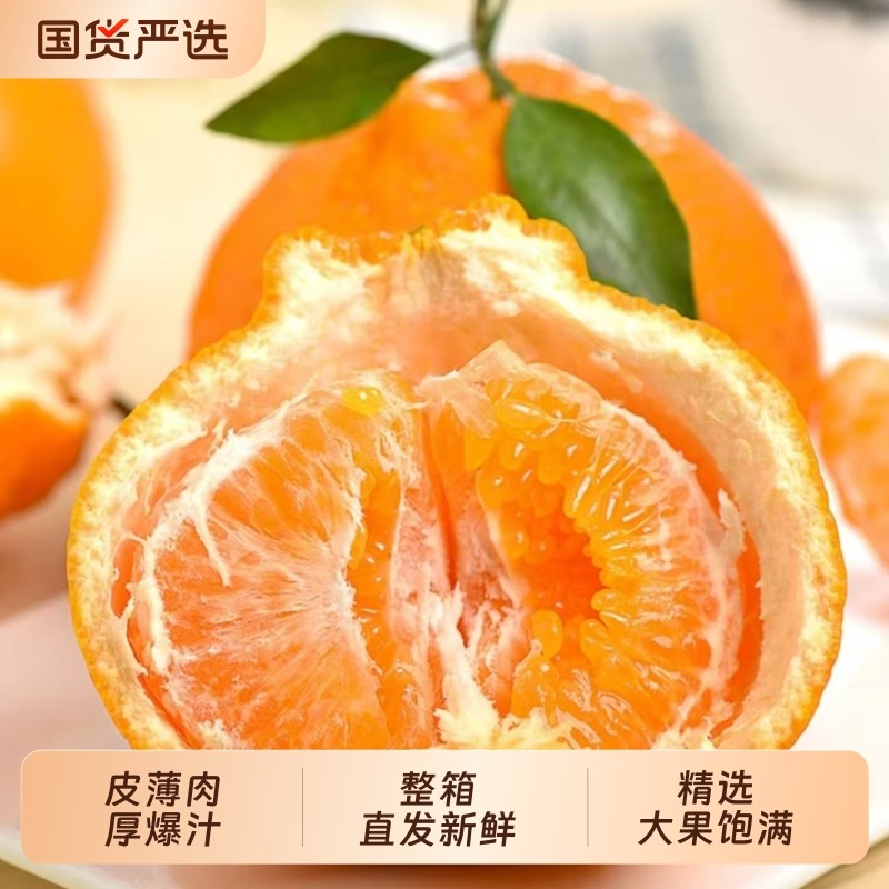 正宗四川春见耙耙柑很甜粑粑柑春见橘子甜当季整箱新鲜水果丑柑桔,水产肉类/新鲜蔬果/熟食,桔子,淘宝优惠券,粉丝福利购,淘宝优惠卷