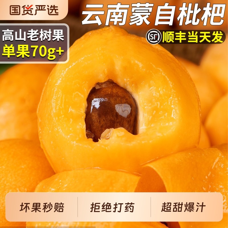 顺丰云南蒙自枇杷新鲜水果琵琶现摘大果甜孕妇礼盒装当季整箱包邮,水产肉类/新鲜蔬果/熟食,枇杷,淘宝优惠券,粉丝福利购,淘宝优惠卷