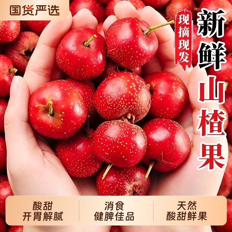 新鲜红果鲜山楂果大山楂鲜果大果山里红冰糖葫芦用现摘