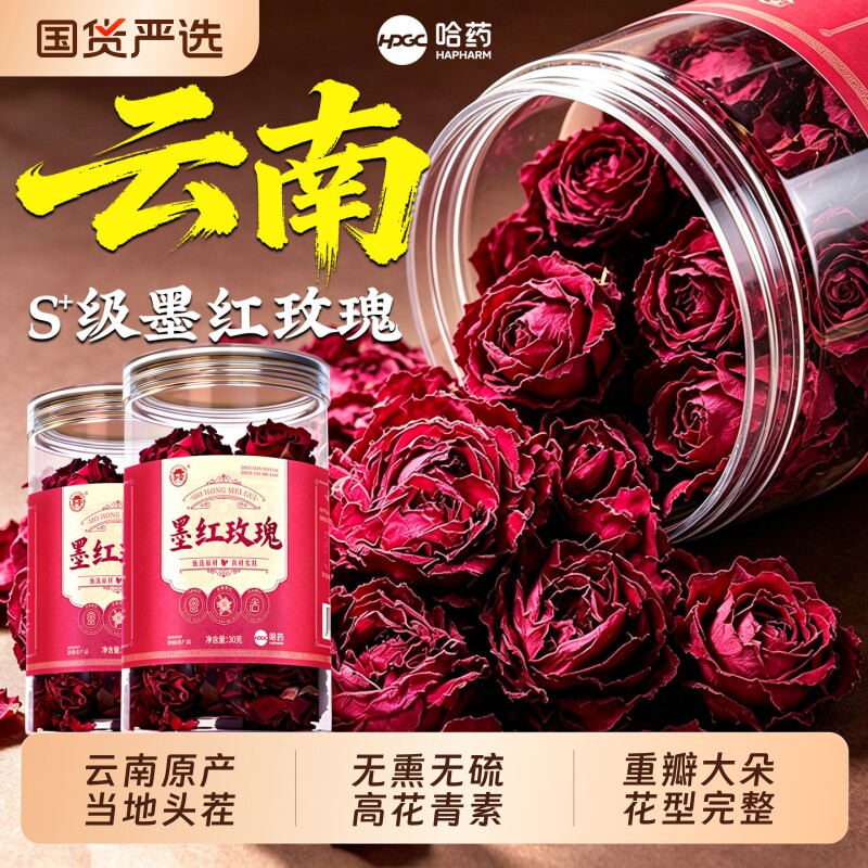 墨红玫瑰花云南头茬重瓣大朵无硫图片