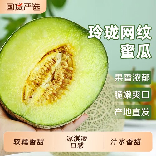 山东正宗网纹蜜瓜网纹瓜新鲜绿心哈密瓜应当季水果时令冰淇淋口感