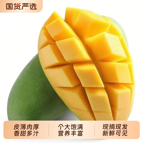 当季新鲜青皮金煌芒果现摘玉芒多汁多甜美味大个整箱芒果热带水果