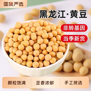 新货黑龙江东北非转基因新黄豆5斤小农家自种大豆打豆浆专用早餐