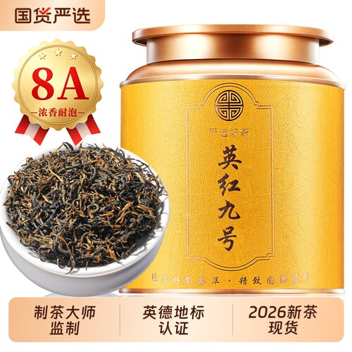 英红九号红茶2026新茶罐装250g