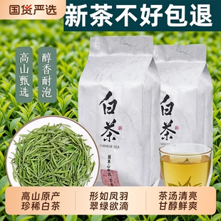 珍稀白茶安吉2025新茶口粮绿茶明前正宗特级白茶叶自己喝袋装 散装