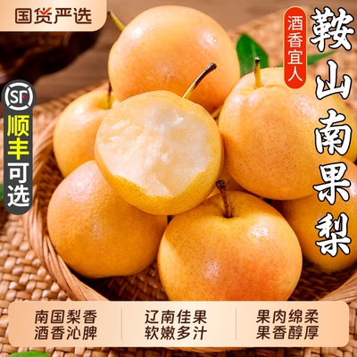 正宗鞍山南果梨新鲜|101人收藏
