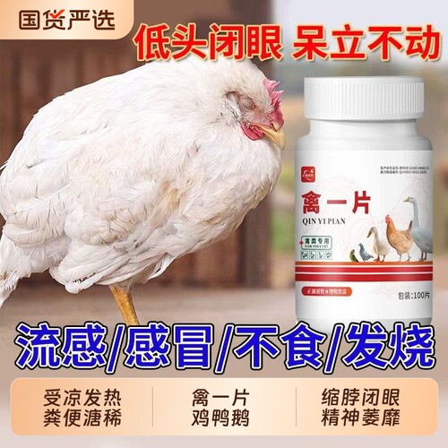 鸡鸭鹅禽一片鸡症常备拌料100片