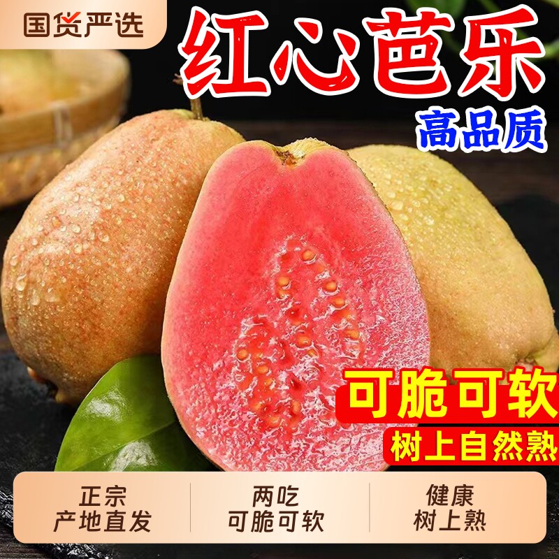 福建正宗红心芭乐新鲜水果包邮大果脆甜胭脂红巴乐番石榴软心软糯