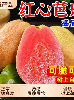 福建正宗红心芭乐新鲜水果包邮大果脆甜胭脂红巴乐番石榴软心软糯