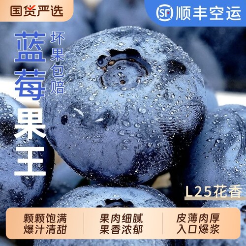 云南花香蓝莓鲜果枝高山新鲜水果特大果冠l25当季佳怡颗沃8盒包邮