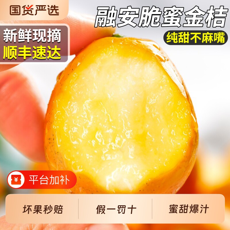 顺丰广西融安脆蜜金桔新鲜桔子水果第三代脆皮橘子金柑甜当季整箱