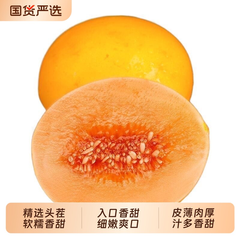 陕西沙漠黄河蜜金红脆蜜瓜新鲜水果当季黄肉甜瓜脆甜孕妇水果包邮