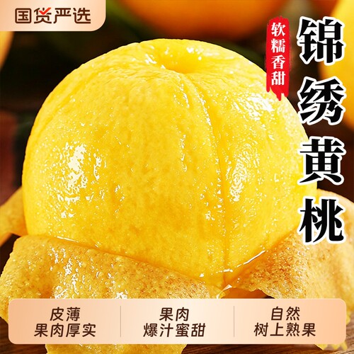 锦绣黄桃新鲜水果脆甜黄肉毛桃