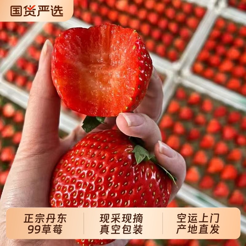 丹东东港99大草莓新鲜九九甜水果礼盒装红颜牛奶奶油久久大果空运