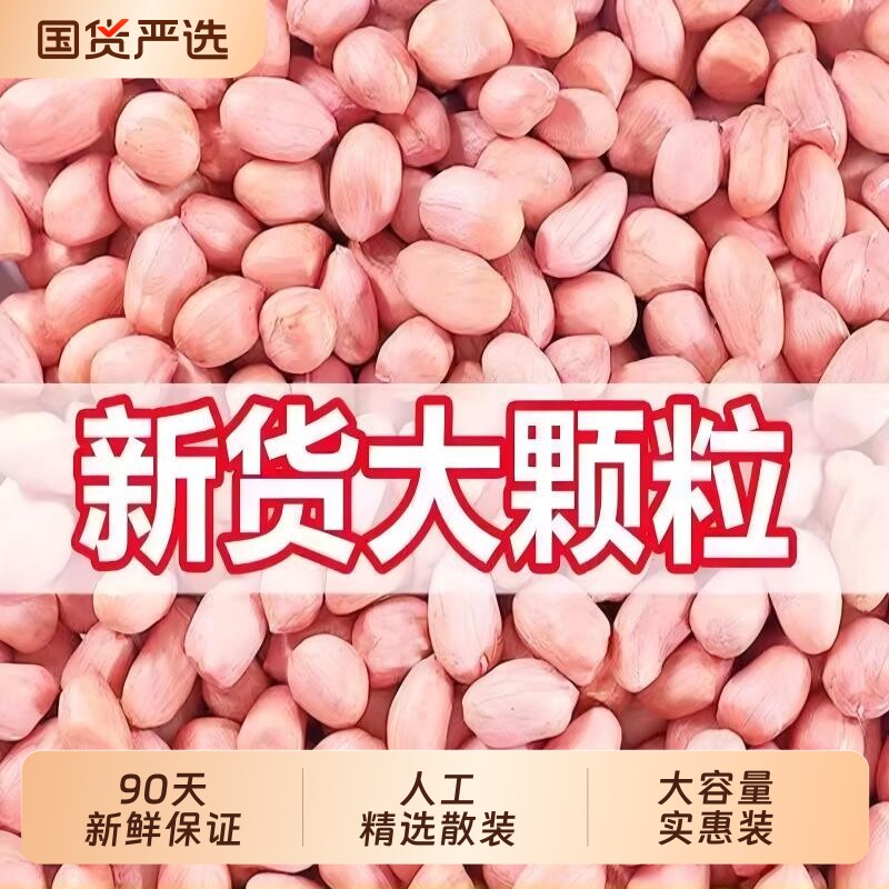 花生米生新河南新货2025年大颗粒农家新鲜花生仁大粒散装食用油炸