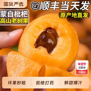 顺丰云南蒙自枇杷新鲜水果琵琶现摘大果米甜易鲜甜当季整箱包邮5