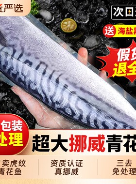 青花鱼挪威进口鲭鱼青花鱼片半成品日式盐渍新鲜烤青占鱼冷冻鱼肉