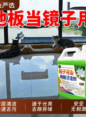 栀子花香地板清洁剂瓷砖木地板拖地液持久留香抑菌速干保养去污