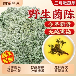 茵陈500g特级野生中药材嫩芽绵茵陈白蒿养生茶五味子泡水喝肝养茶