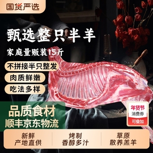 甘肃滩羊15斤半只羊新鲜整只羊腿羊排羊蝎子食材羊肉全羊羔羊草原