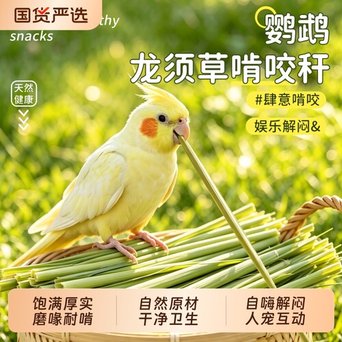 【抖音同款】鹦鹉磨牙棒龙须草
