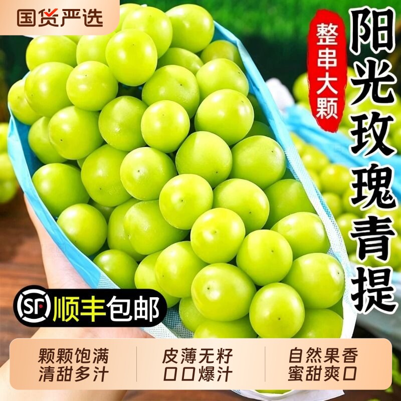 阳光玫瑰葡萄新鲜水果当季脆甜无籽香印提子青提晴王葡萄顺丰整箱