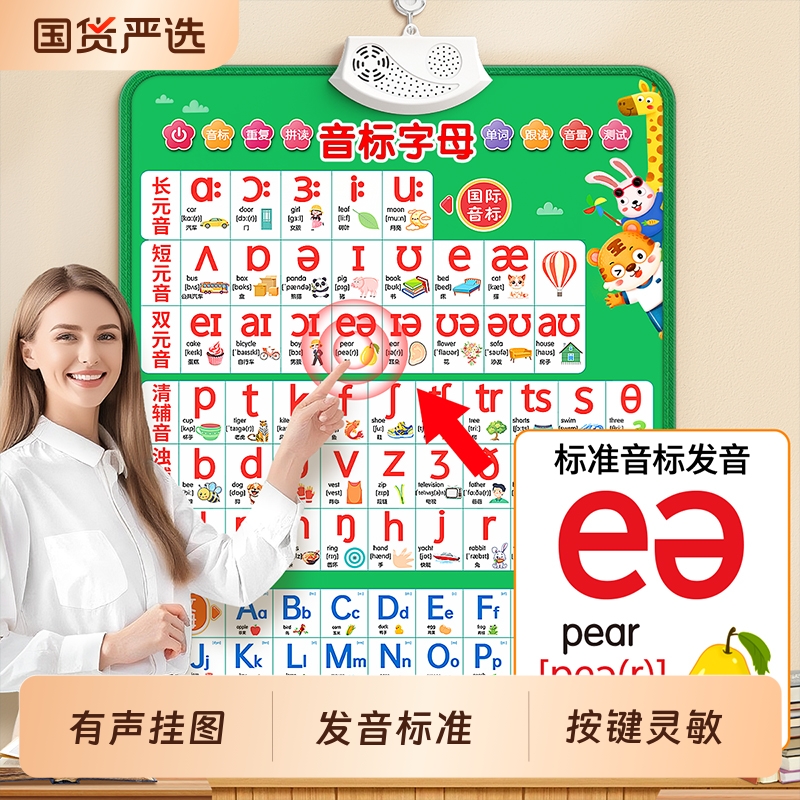 国际英语音标有声挂图