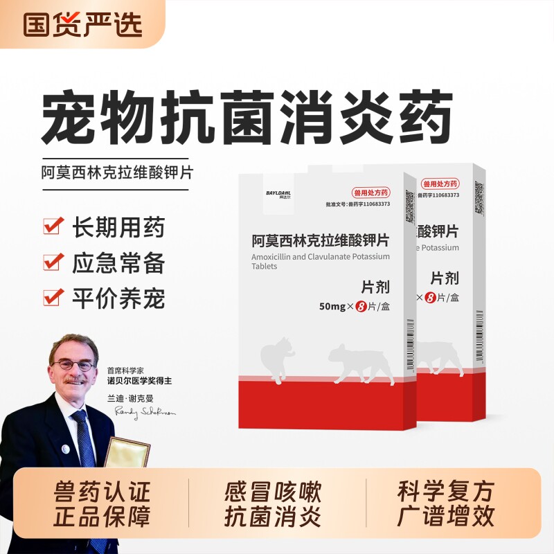 拜达尔宠物专用阿莫西林消炎药图片