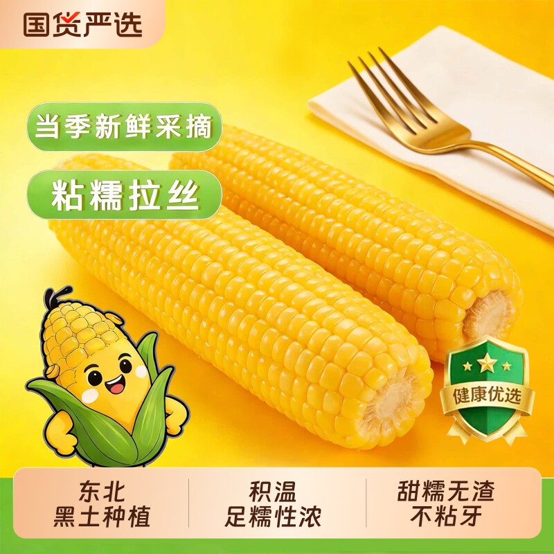 当季新货东北黄甜糯玉米棒10支真空包装低脂黄糯大棒甜东北黏苞米