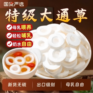 大通草片无硫中药材产后哺乳期下原材料汤奶产妇王不留行路路通