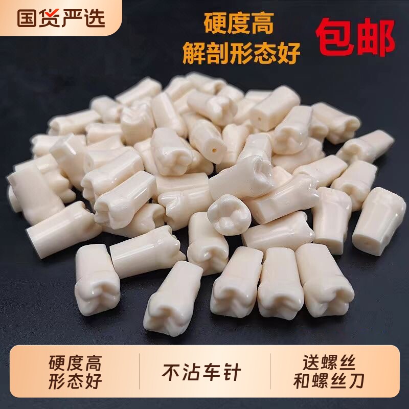 备牙模型根管练习牙开髓腔树脂牙离体牙仿真口腔技能考试仿真牙粒