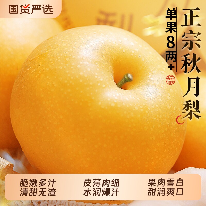 正宗丰水梨秋月梨现摘现发水果新鲜当季冰糖雪梨子大果整箱包邮