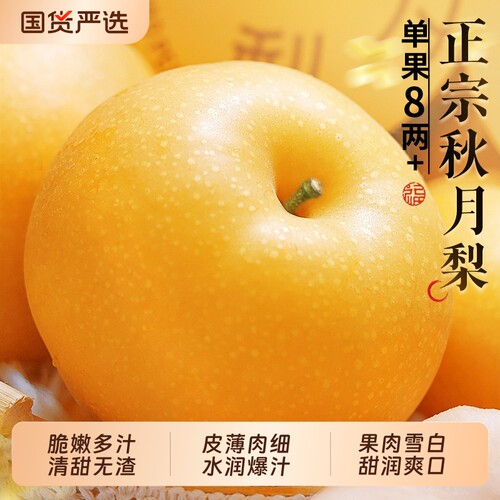 正宗秋月梨脆嫩多汁|千人加购