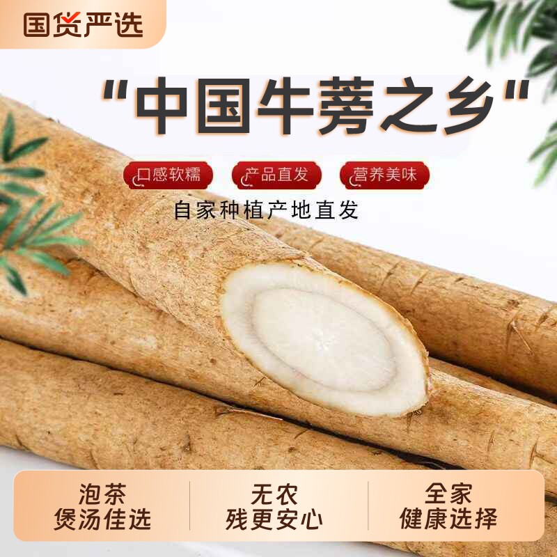2026年现挖黄金牛蒡根黄皮5斤苍山特产多汁牛蒡根牛蒡茶新鲜