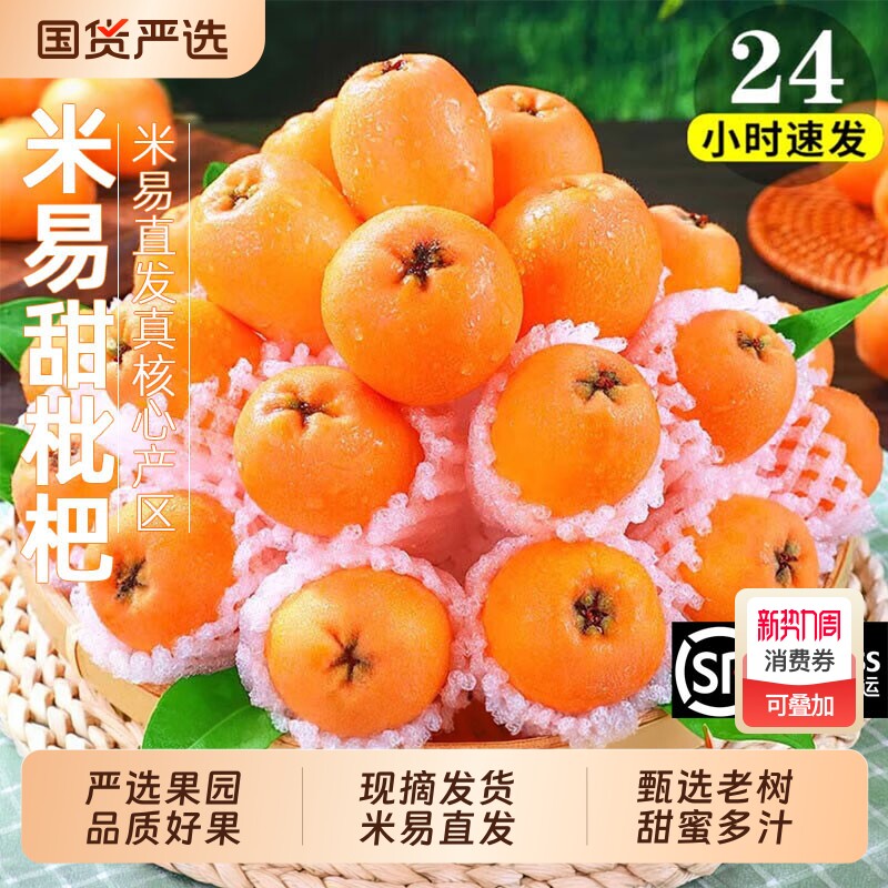 5斤正宗攀枝花米易枇杷鲜果特大果四川早钟新鲜水果应季孕妇现摘