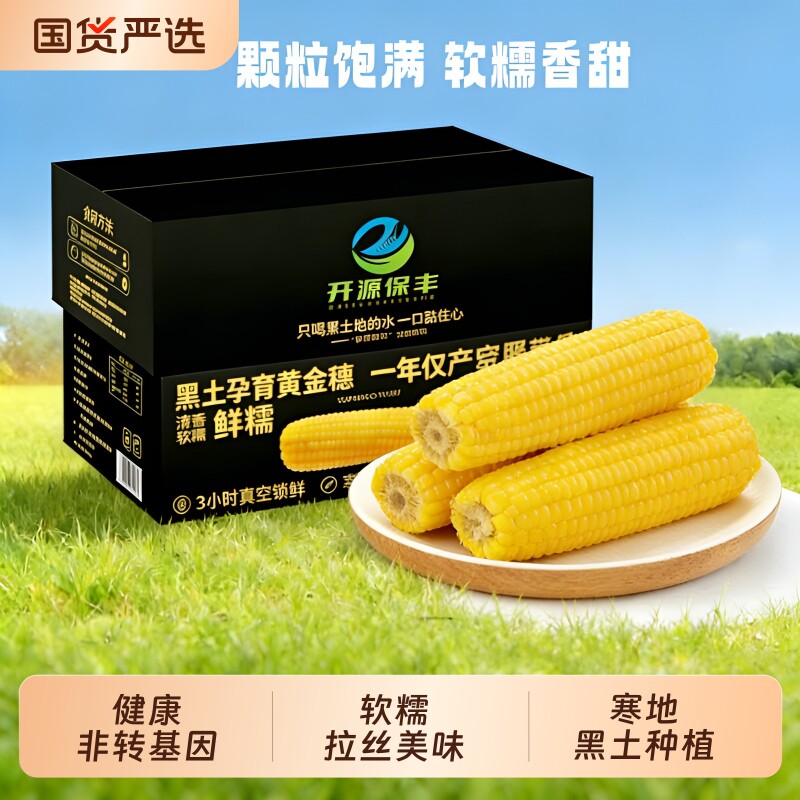 东北特产新鲜黄糯玉米软糯拉丝独立真空包装粘粘苞米非即食代餐