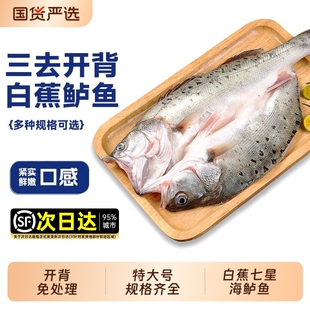 海鲈鱼开背新鲜冷冻鲜活深海鱼白蕉七星海卢鱼水产烤鱼半成品商用