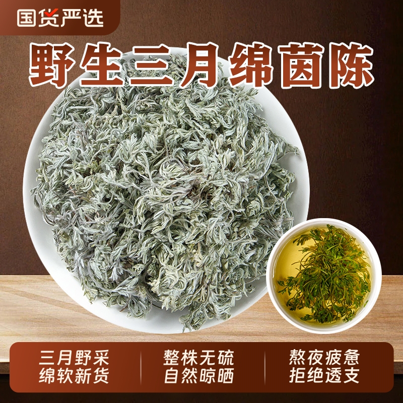 野生茵陈中药材正品三月嫩茵陈蒿草新货白蒿晒干整株棉茵陈泡水喝
