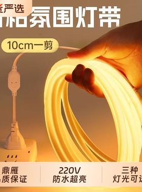 鼎雁COB灯带220v防水超亮自粘LED线形灯槽家用客厅吊顶工程软灯条