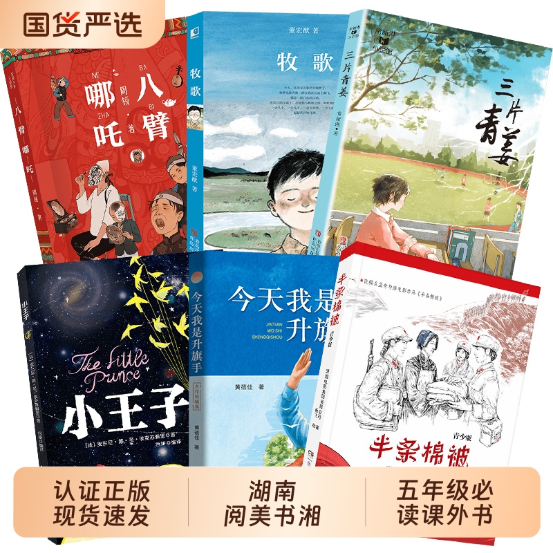 湖南阅美书湘五年级小王子彩图典藏版吉林出版社今天我是升旗手名作精编版三片青姜半条棉被八臂哪吒牧歌