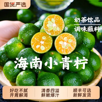 海南小金桔青桔新鲜小青柠檬青柑应季水果金橘奶茶淘金鲜果