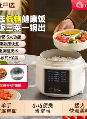 小南瓜微压快煮一体电煮锅
