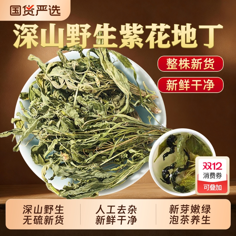 野生紫花地丁正品中药材新货