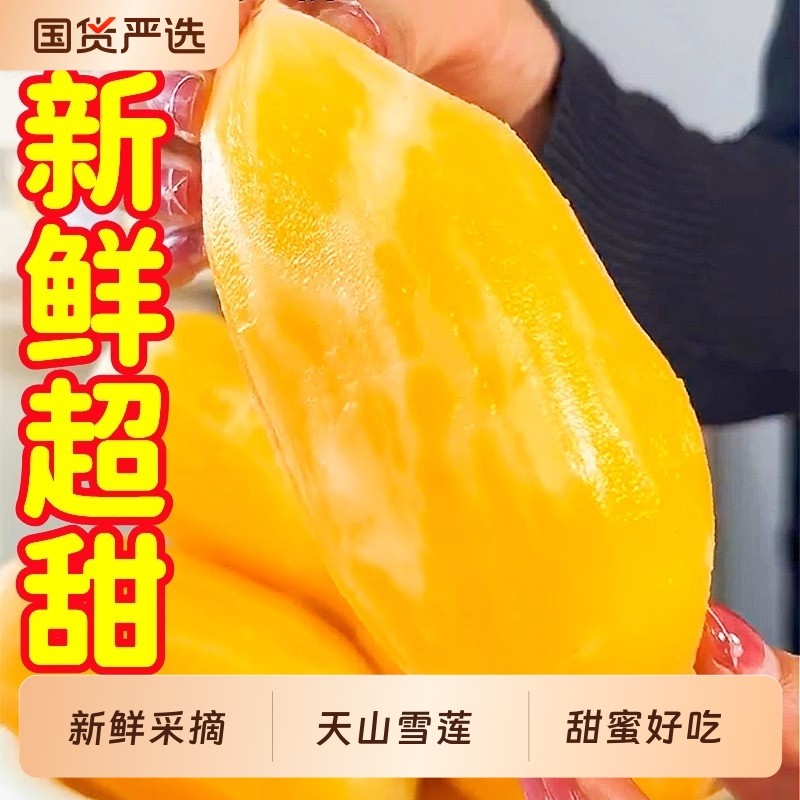 天山雪莲果新鲜水果应当季云南孕妇红心雪连果黄心特整箱包邮批发,水产肉类/新鲜蔬果/熟食,雪莲果,淘宝优惠券,粉丝福利购,淘宝优惠卷